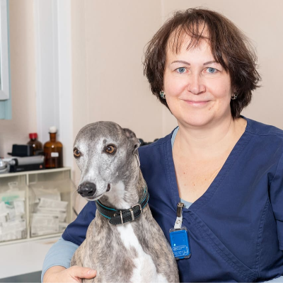 Foto von  Elke Schüffelgen