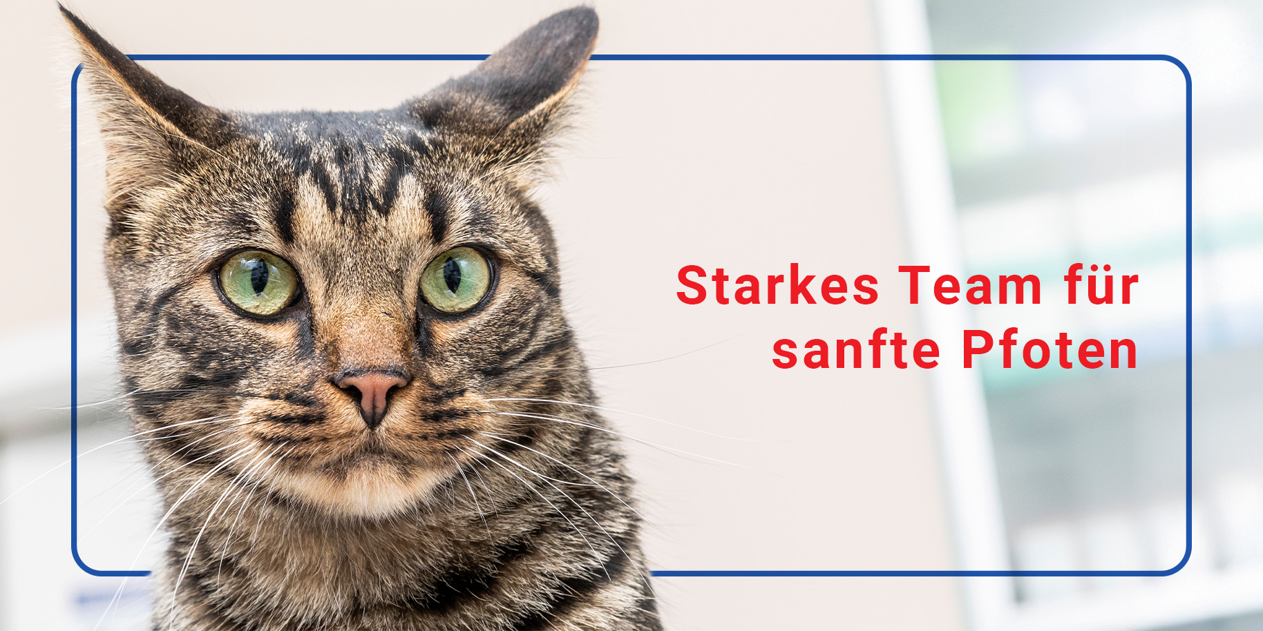 Teaserbild Kleintierpraxis Urbach - Elke Schüffelgen